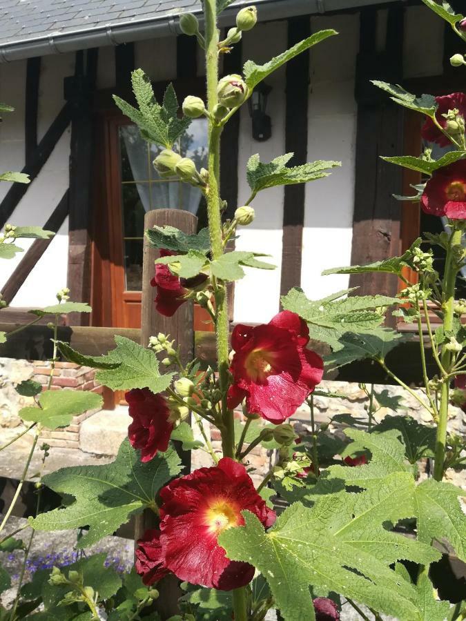Le Clos Des Hortensias Toutainville Ngoại thất bức ảnh